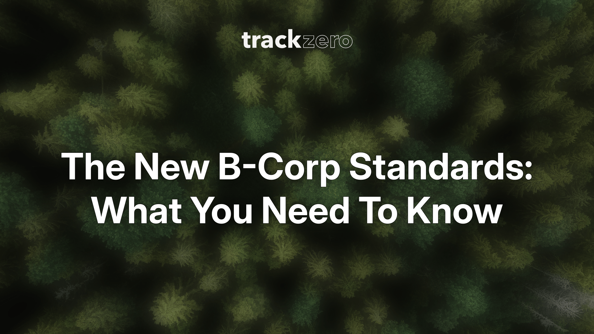 The New B Corp Standards: What You Need To Know