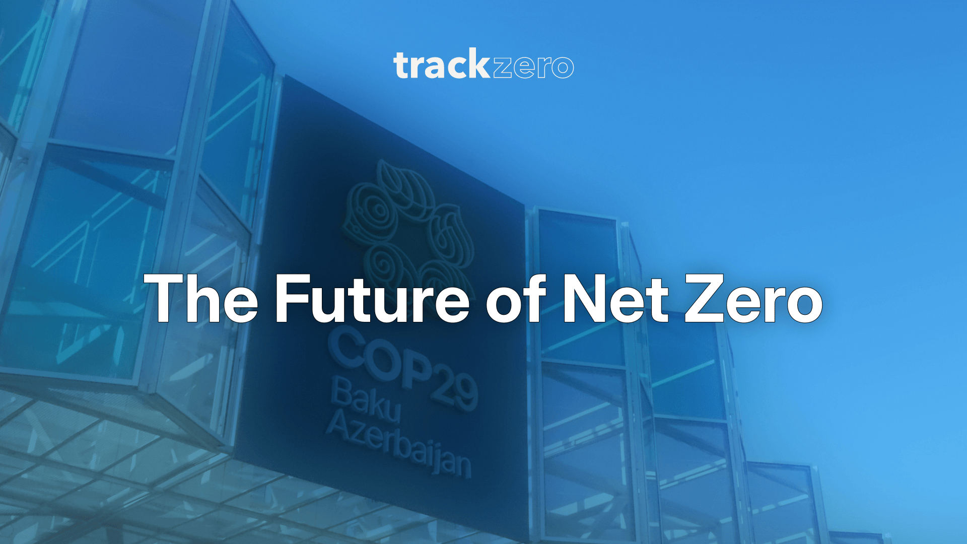 The Future of Net Zero