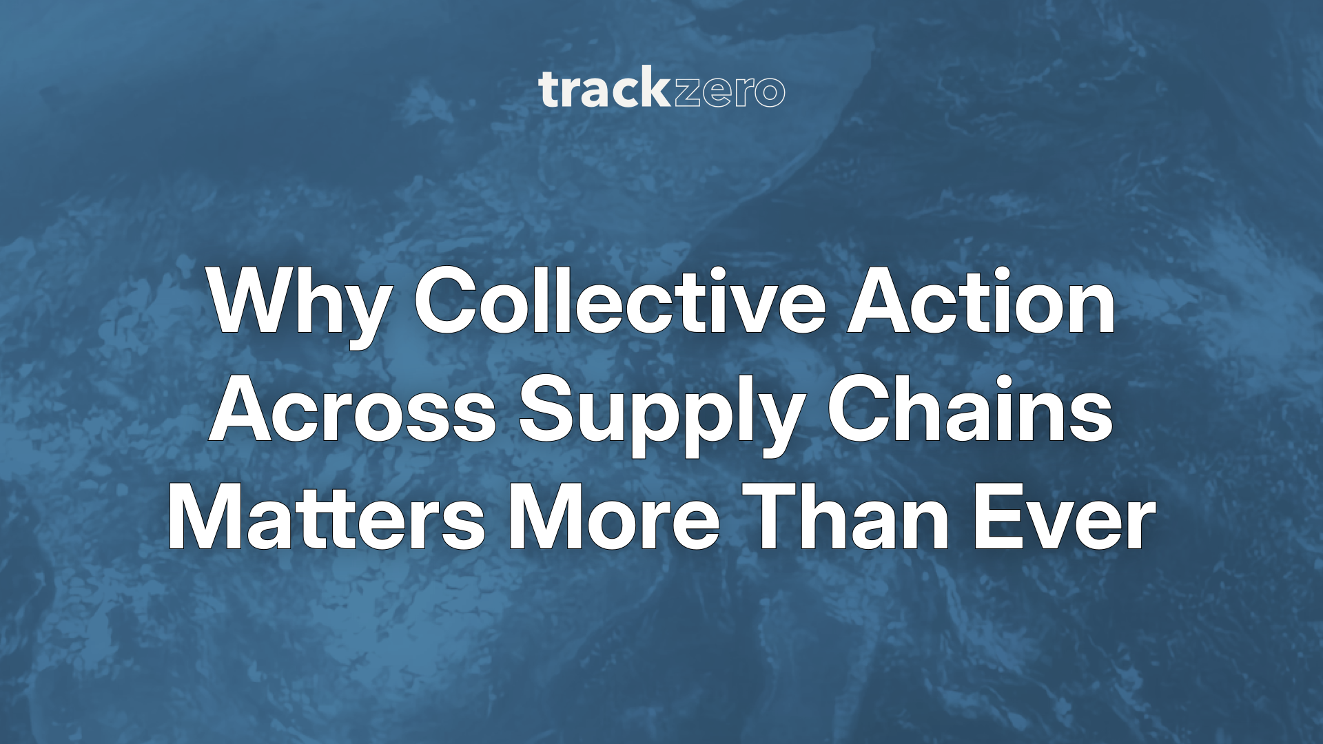 Why Collective Action Across Supply Chains Matters More Than Ever