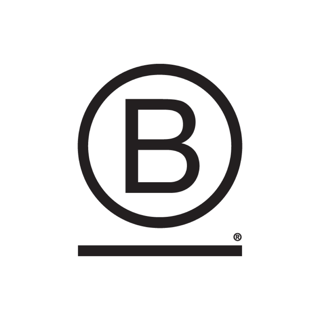 B Corp Standards
